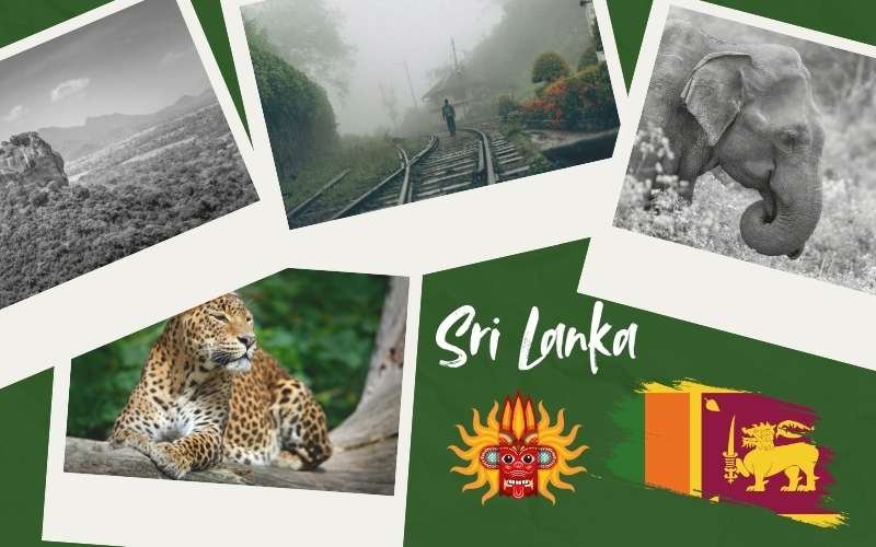 op 10 Must-Visit Places in Sri Lanka