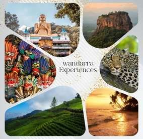 FROM ROCK TO REEF. AUS 001.